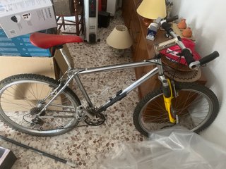 Bicicleta de montaña plateada