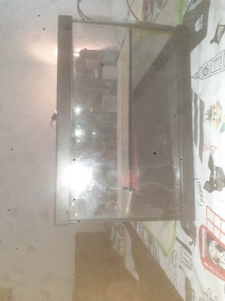 Acuario de cristal y plástico