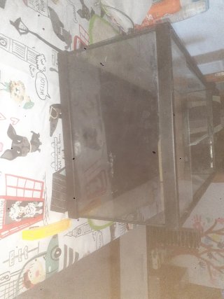 Acuario de cristal y plástico