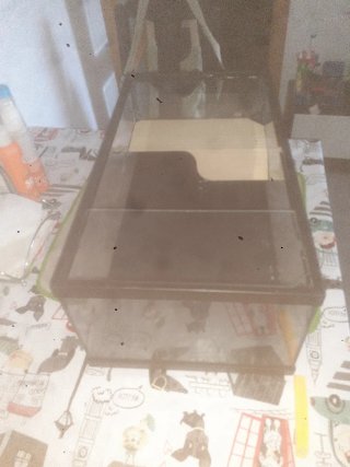 Acuario de cristal y plástico
