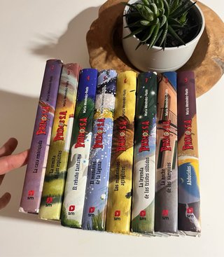 Coleccion de libros Primos S.A.