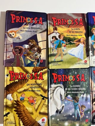 Coleccion de libros Primos S.A.
