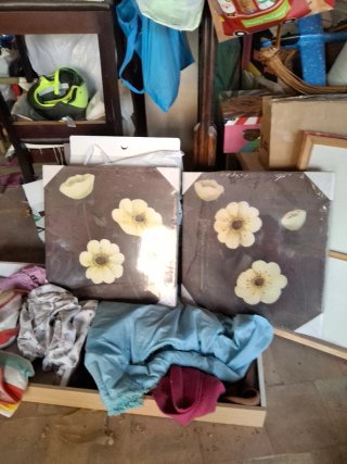 Lote 2 cuadros decorativos flores