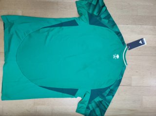 Camiseta Adidas fútbol Arabia Saudita IT2576