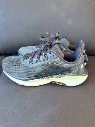 Zapatillas Nike Pegasus Trail GTX 39