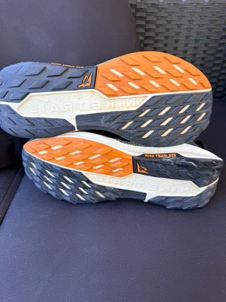 Zapatillas Nike Pegasus Trail GTX 39