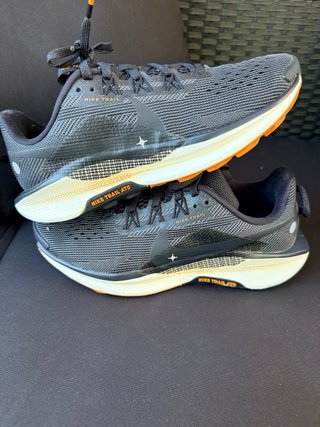 Zapatillas Nike Pegasus Trail GTX 39