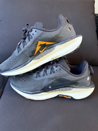 Zapatillas Nike Pegasus Trail GTX 39