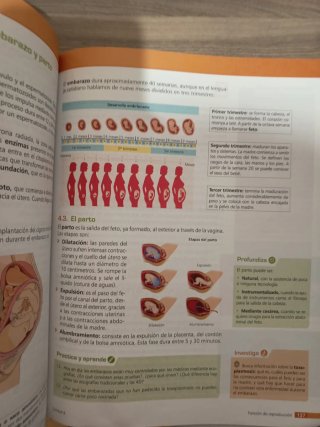Biología y geología, 3.o ESO