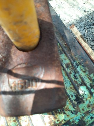 Machota