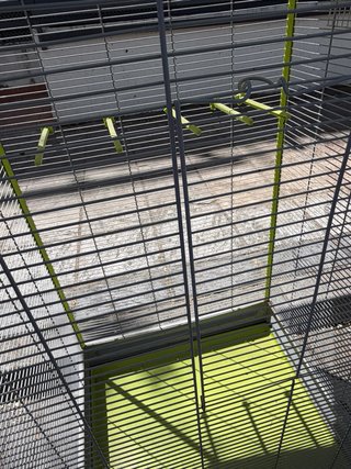 Jaula Pajarera Grande Gris y Verde