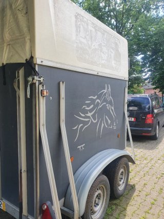 Remolque caballos doble eje