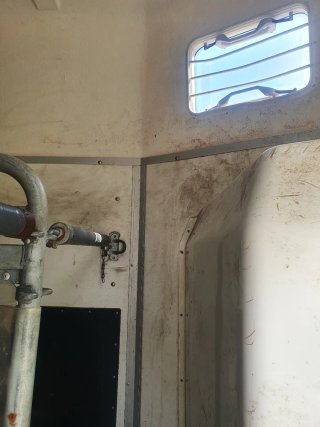 Remolque caballos doble eje