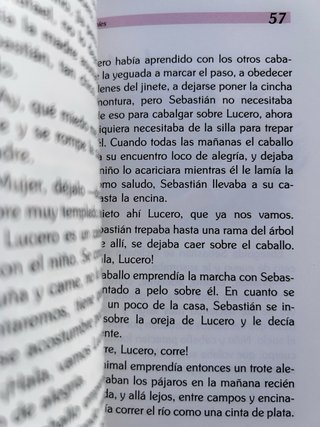 Romaníes Marta Osorio 1994 El Duende Verde