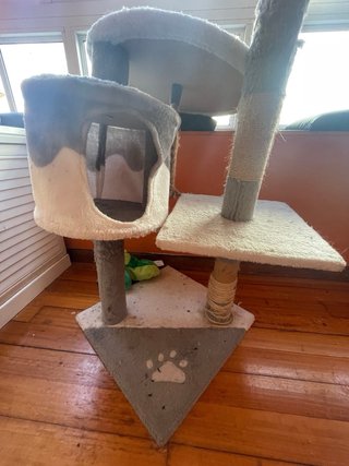 Árbol para gatos