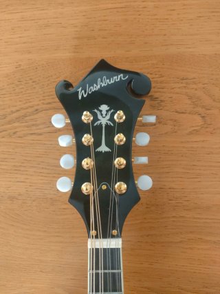Mandolina Washburn M1SD Negra