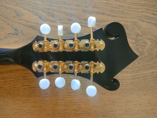 Mandolina Washburn M1SD Negra