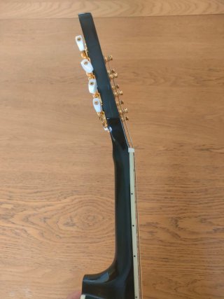 Mandolina Washburn M1SD Negra