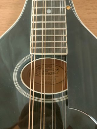 Mandolina Washburn M1SD Negra