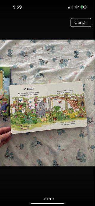Lote de libros infantiles