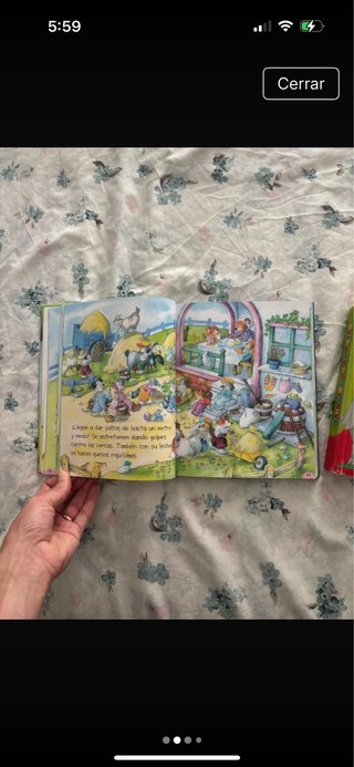 Lote de libros infantiles