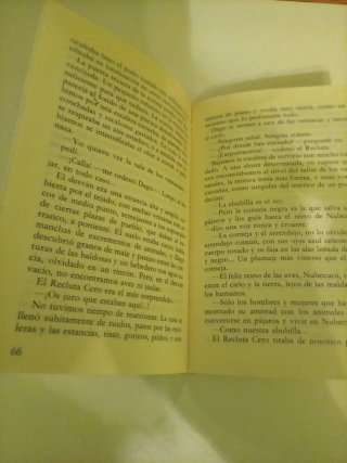 Las alas de la noche