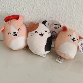 Lote 3 Peluches Pequeños Corgi y Gata
