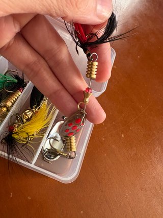 Lote 10 señuelos pesca variados