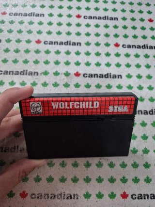 Wolfchild Master System