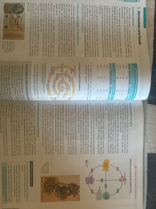 MUNDU GARAIKIDEAREN HISTORIA 1 (Komunitatea Sar...