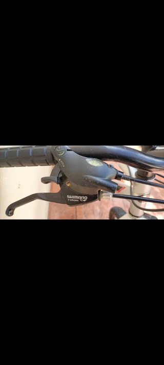 Bicicleta de Montaña