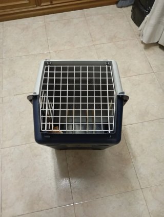 Transportín grande para loros gran tamaño.