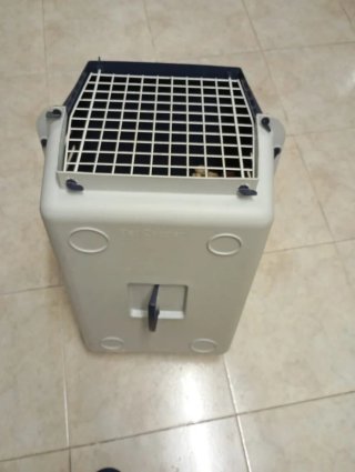 Transportín grande para loros gran tamaño.