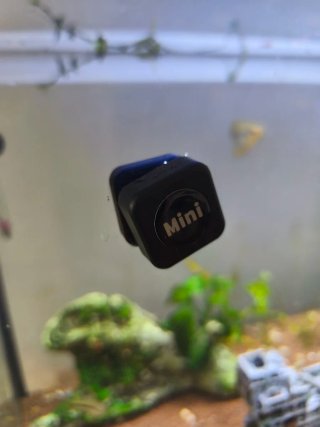 Limpiador acuario imán mini