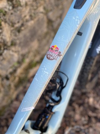 Specialized Kenevo SL