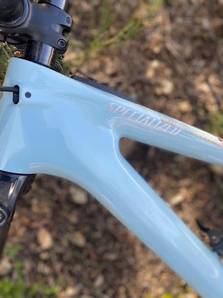 Specialized Kenevo SL