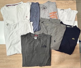 Lote Ropa Hombre: Lacoste, Tommy, TNF, Polo