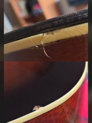 Guitarra acústica Ibanez   V50NJP-VS