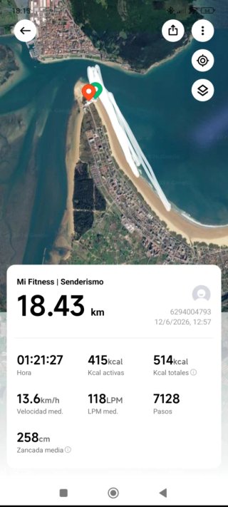 Xiaomi Redmi Watch 4 Verde