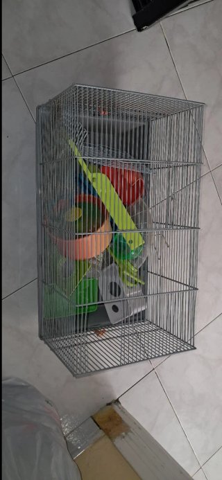 Jaula para hámster con accesorios