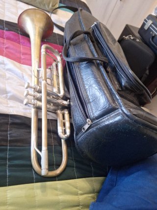 Trompeta Bach USA