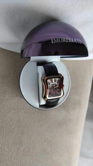 Reloj Morellato Marrón y Dorado