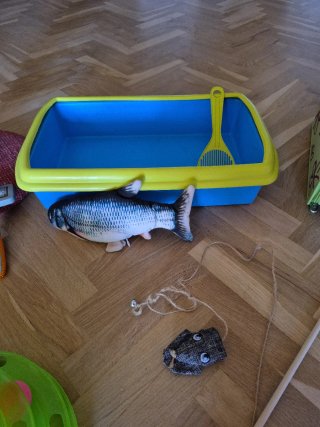 Lote de varios artículos para gatos