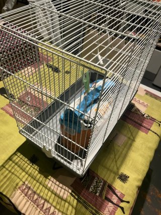 Jaula para pájaros blanca