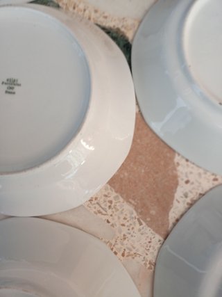 Vajilla de porcelana  para mejillones Limoges