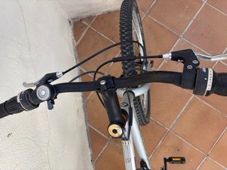 Bicicleta plateada Talla L