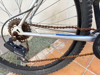 Bicicleta plateada Talla L