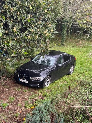 BMW Serie 3 2013