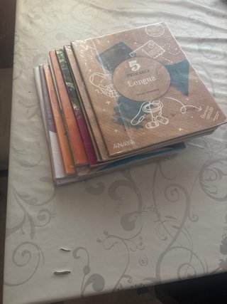 Libros de 5 de primaria del colegio chesterton