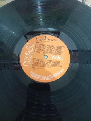 LP Hair - Musical Rock Americano